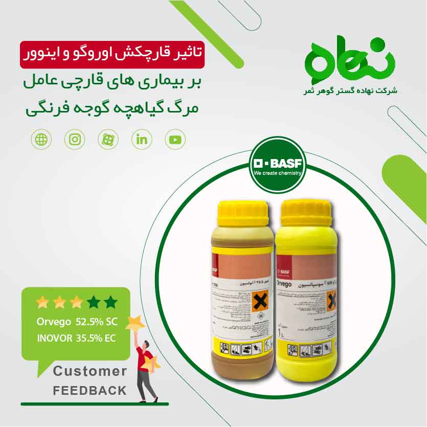 تاثیر قارچکش اوروگو و اینوور بر بیماری های قارچی عامل مرگ گیاهچه گوجه فرنگی